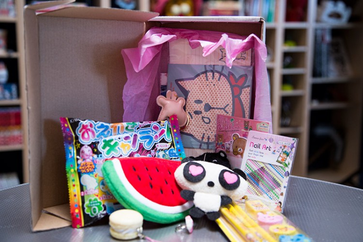 The variety of items inside the Kawaii Box