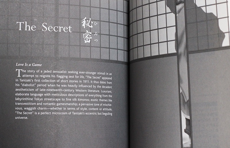 breaking into japanese literature the secret cover