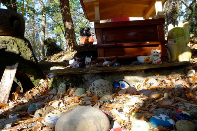 large offerings for cats at tashirojima