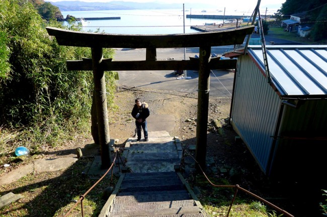 looking through a torii gate