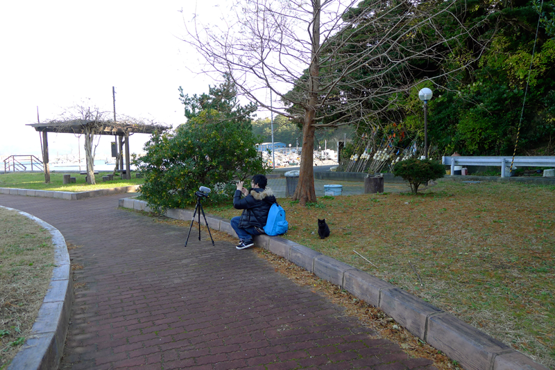 cameraman with black cat