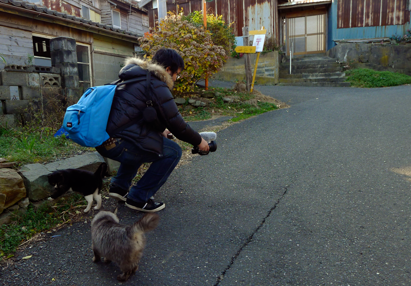 japanese man with camera and two cats on tashirojima