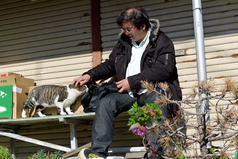 man petting cat