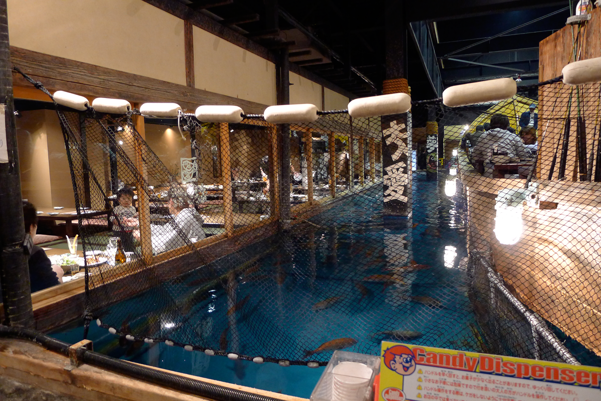 Zauo Fishing Restaurant: Fish for Your Own Meal in Tokyo, Japan / E-lyn Tham