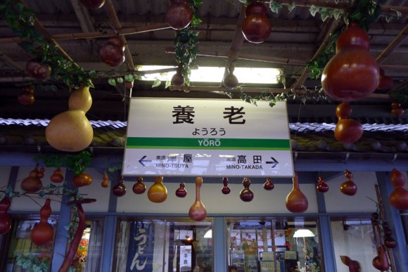 gourds hanging from ceiling