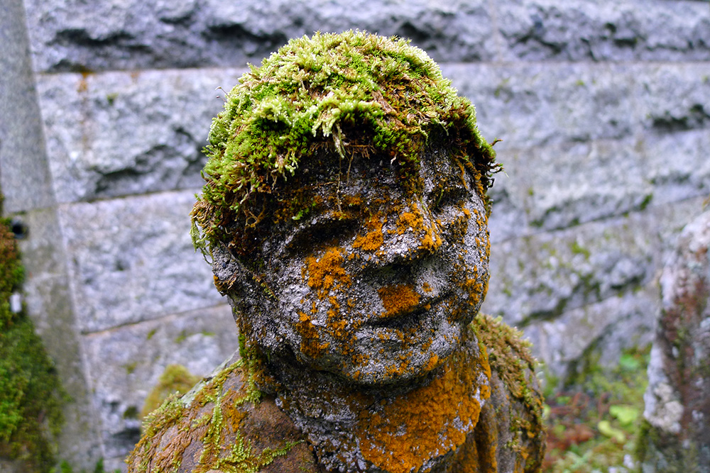 moss covered statue