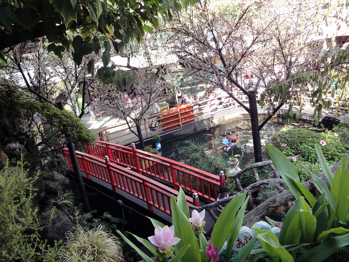 amusement park garden and bridge