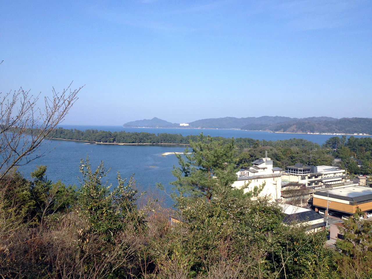 the ocean through trees with buildings