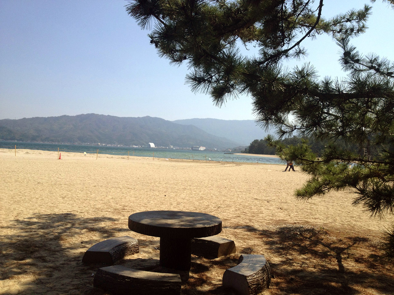 round concrete table at a beach pine trees