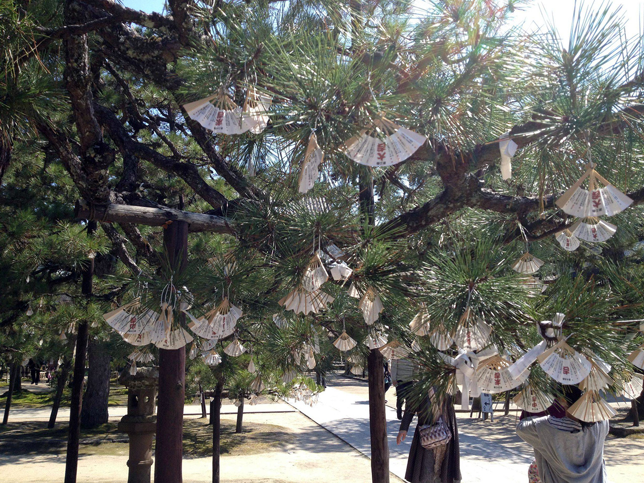 paper fans hanging from trees