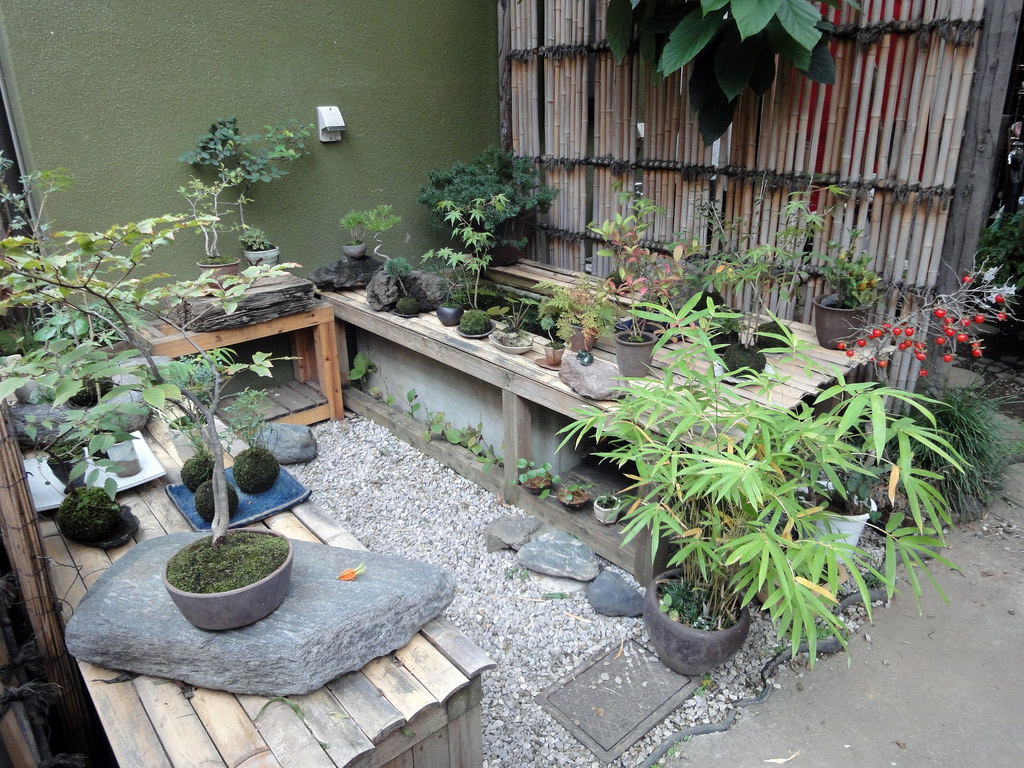 garden of potted plants