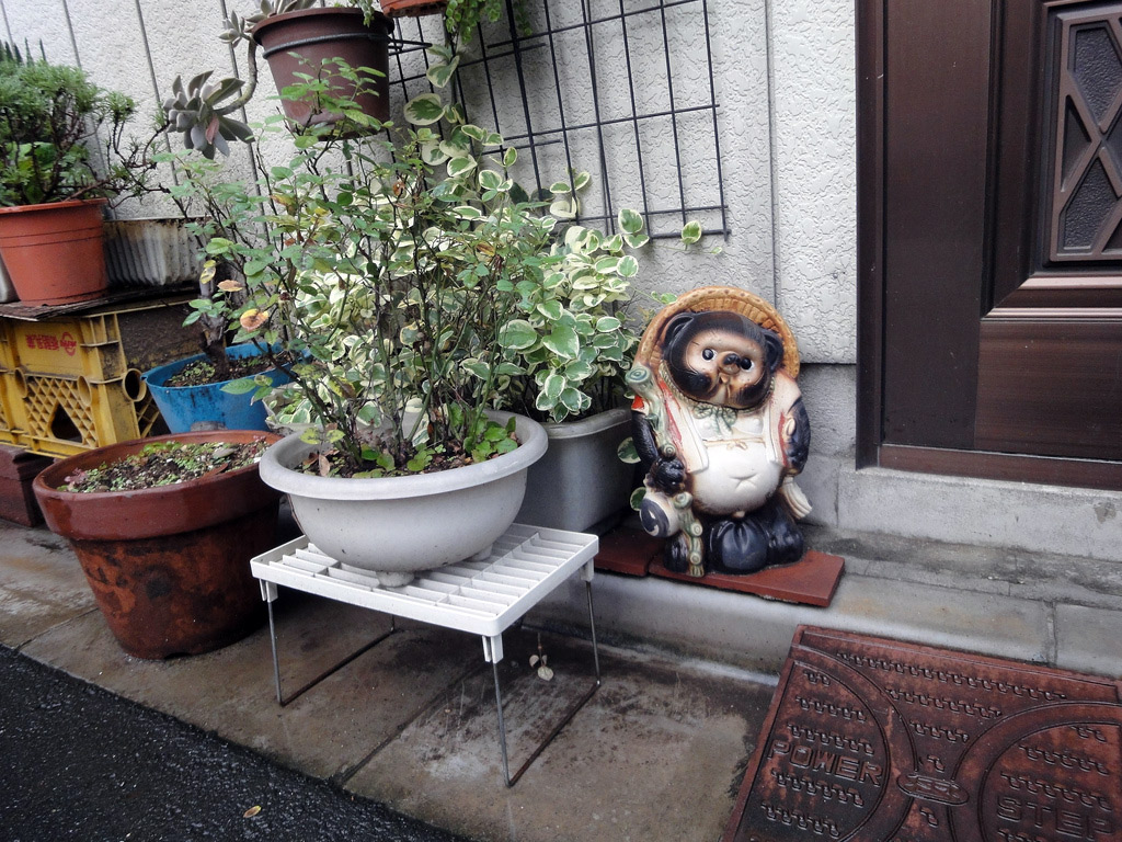 tanuki statue next to potted plant