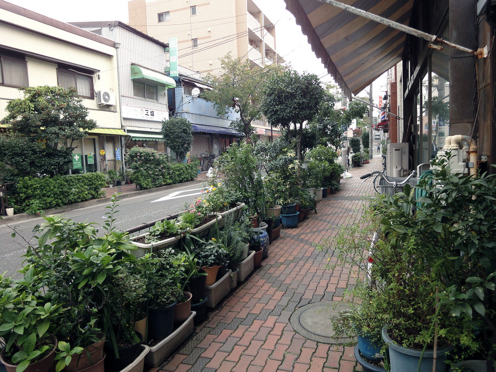 sidewalk lined with potted plants