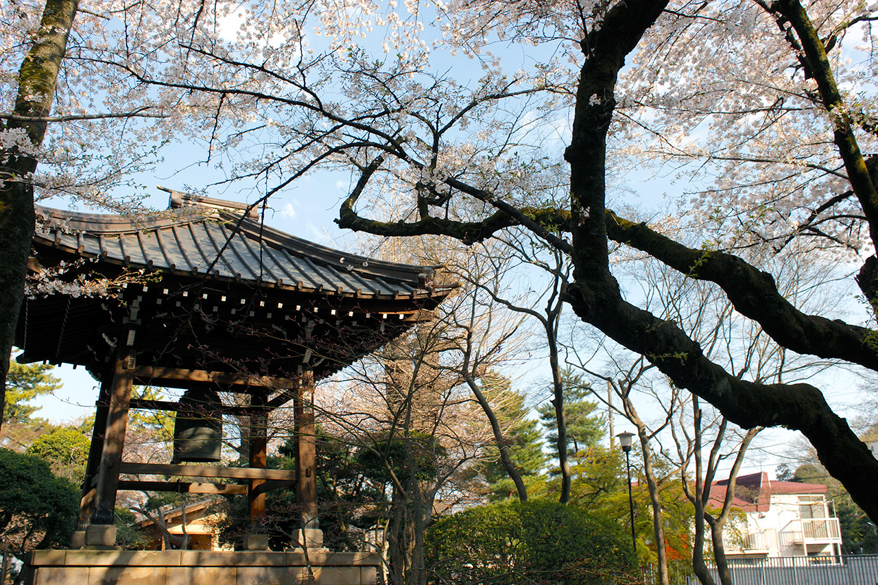 temple bell