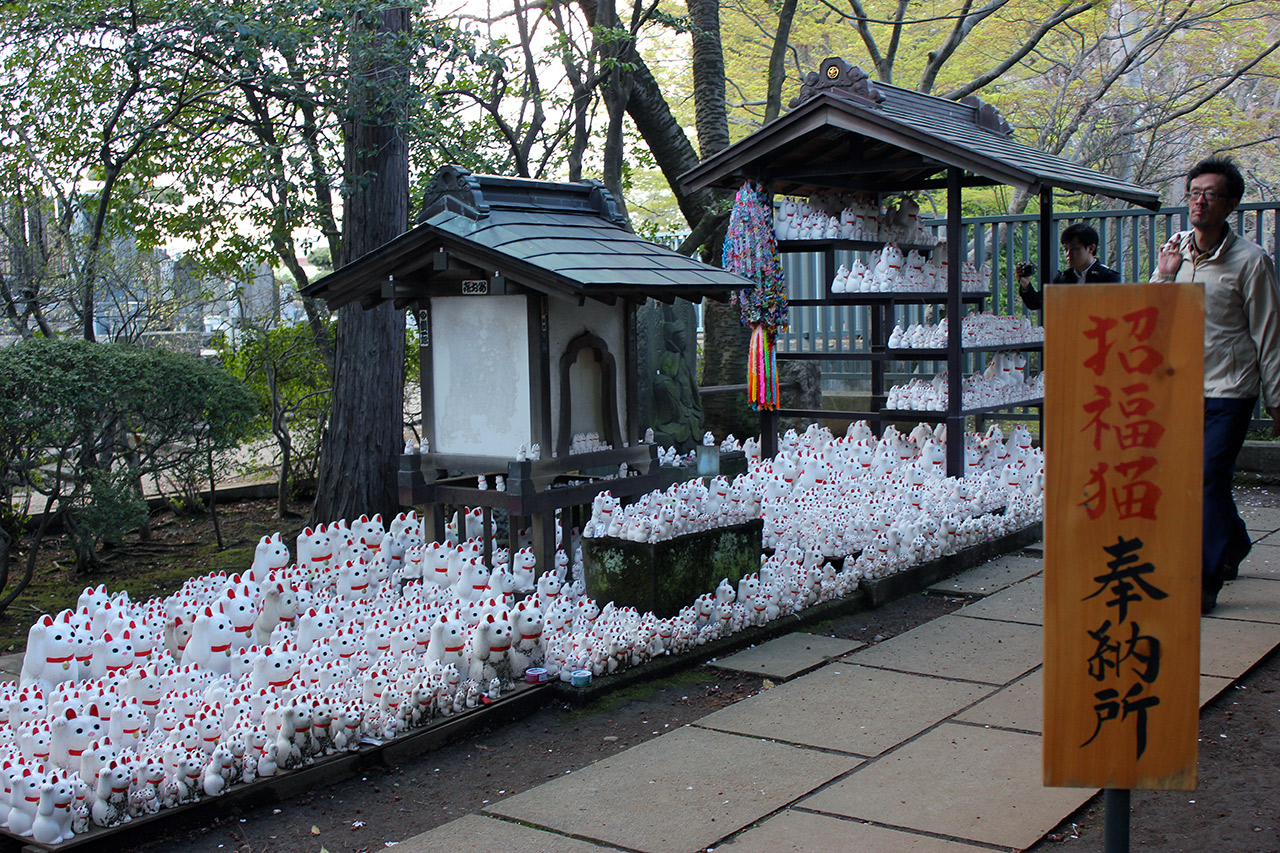 Lucky on sale cat temple