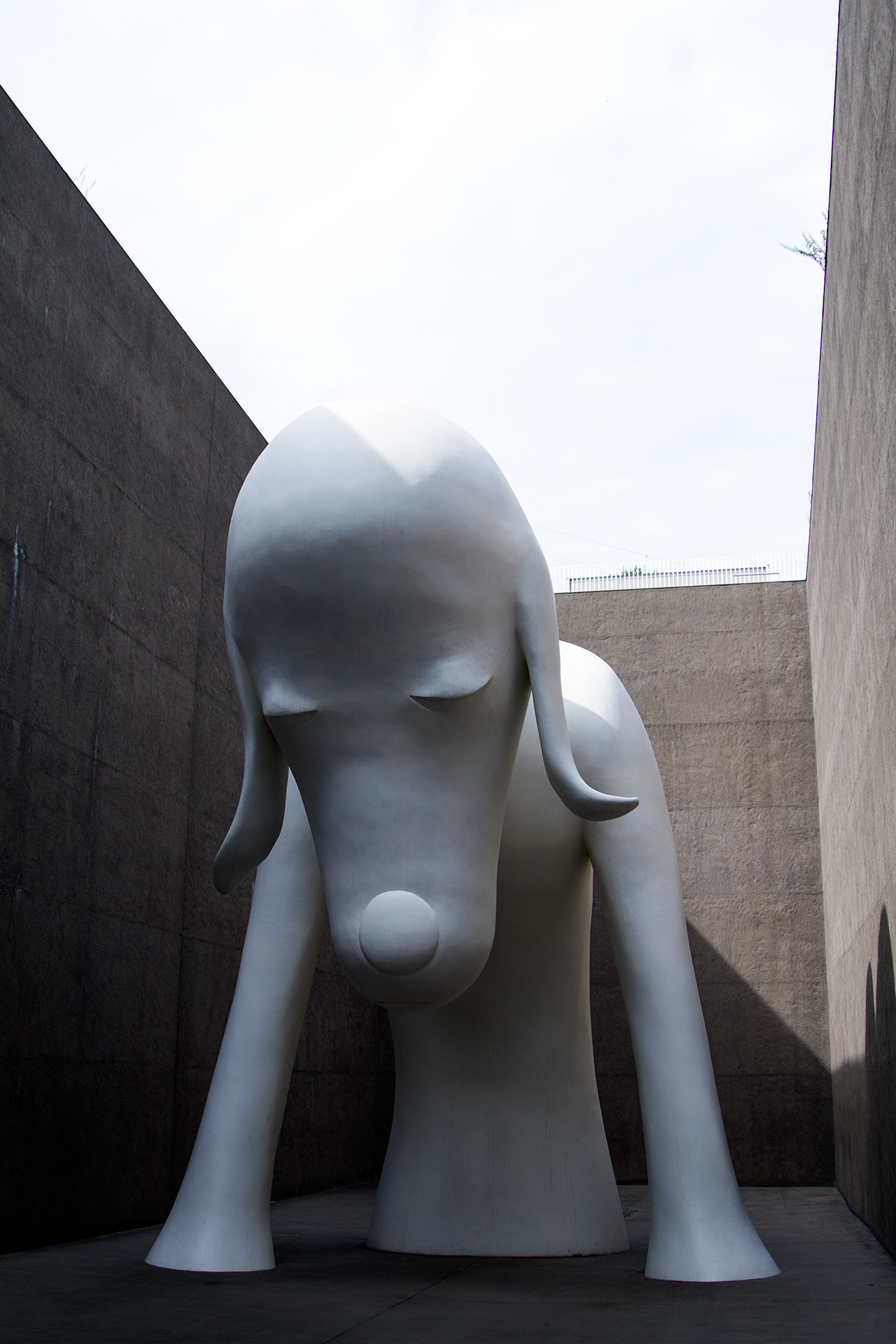 aomori ken big dog aomori museum of art