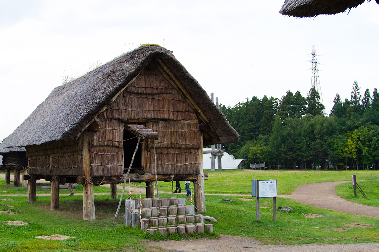 Japanese thatch hut on support pillars