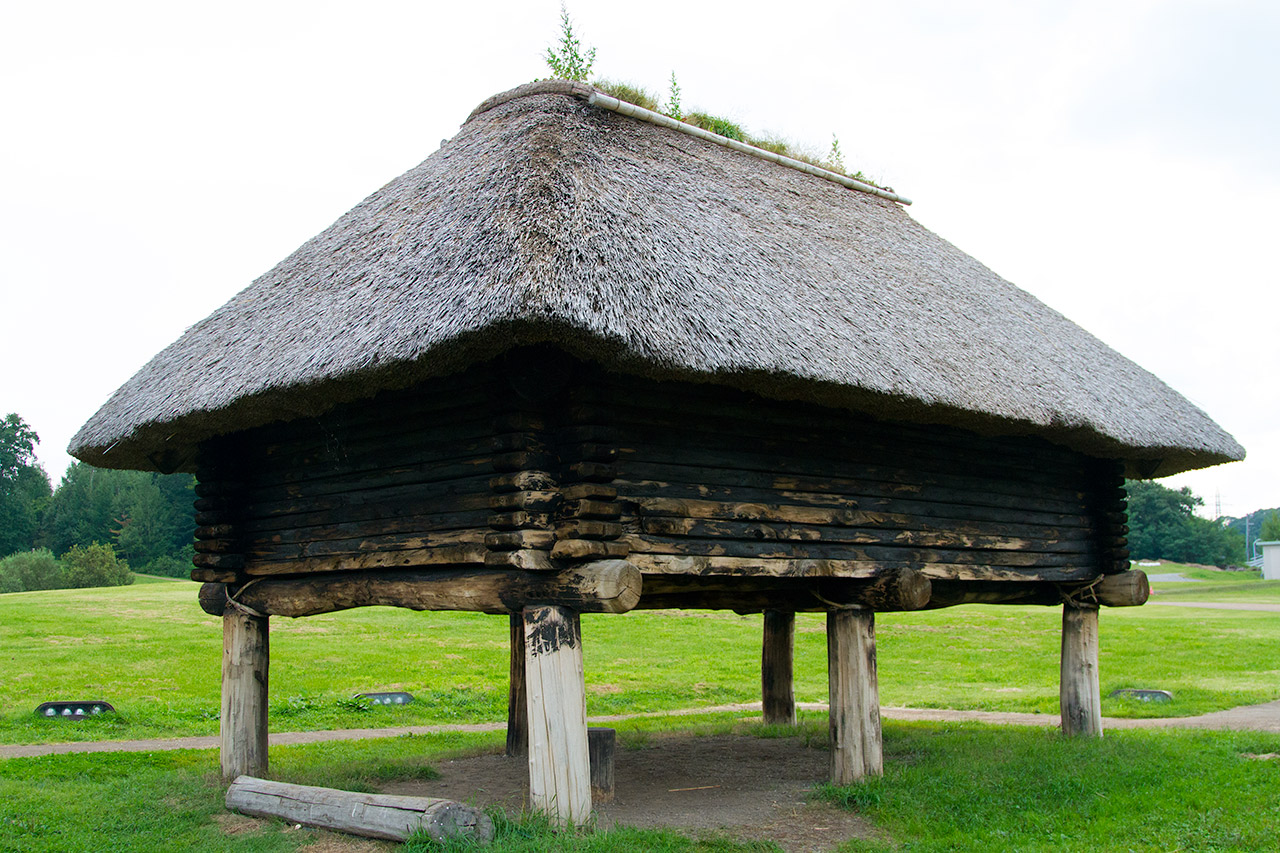 rear view of Japanese thatch hut on support pillars