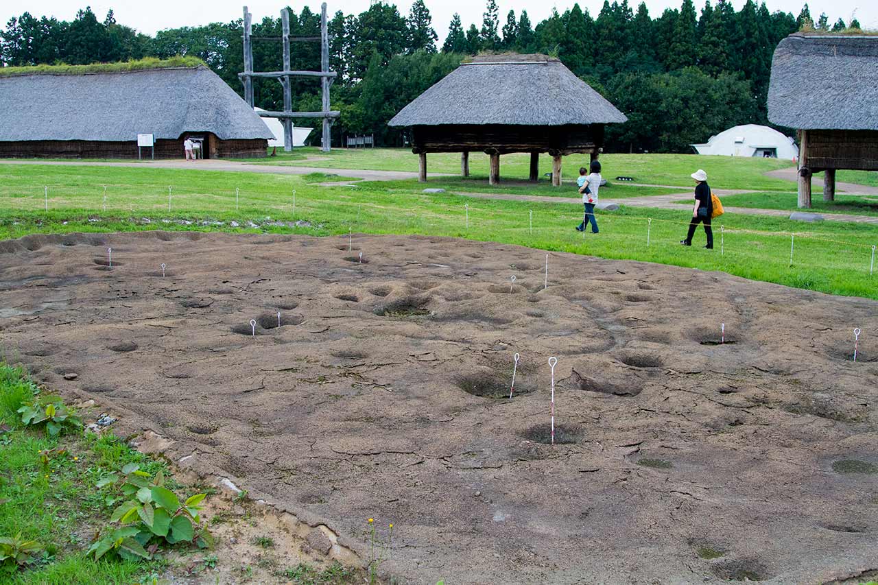 archaelogical site marked out spots in field