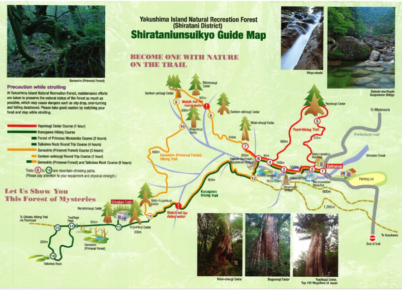 trail map of yakushima forest