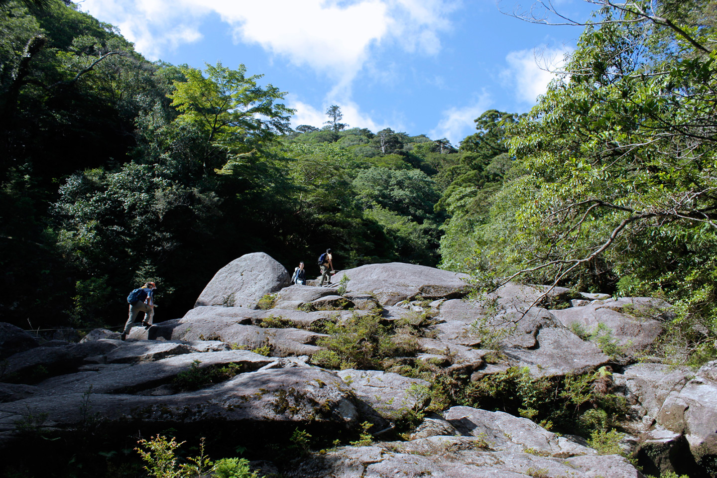 hiking on rocks in Japanese forest