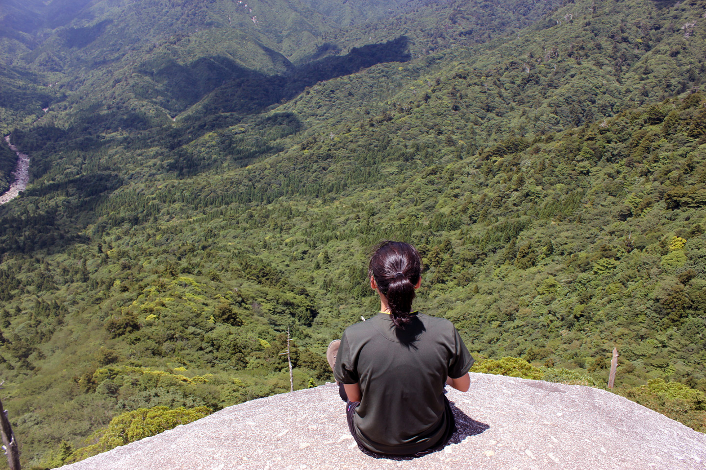 sitting on rock looking out on forest