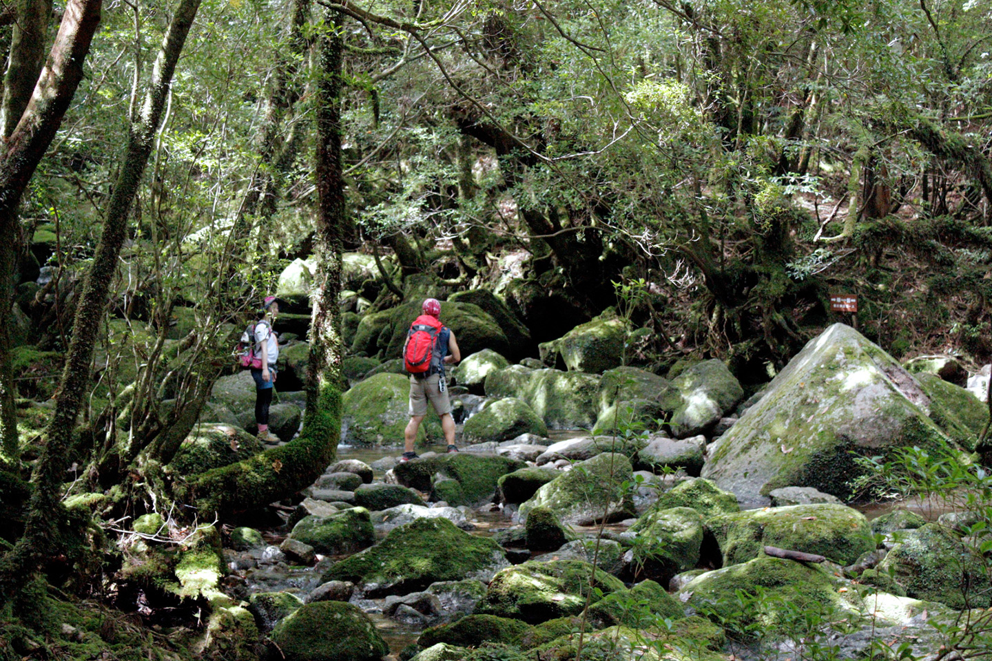 two hikers and stream running through rocks