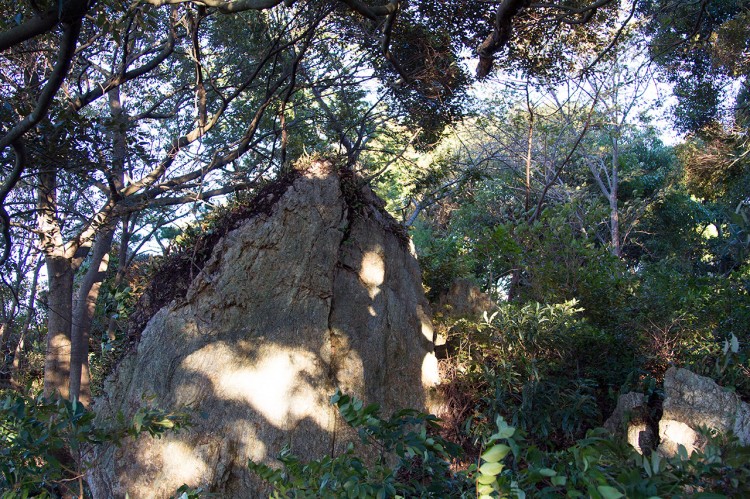 hamamatsu japan rock in forest