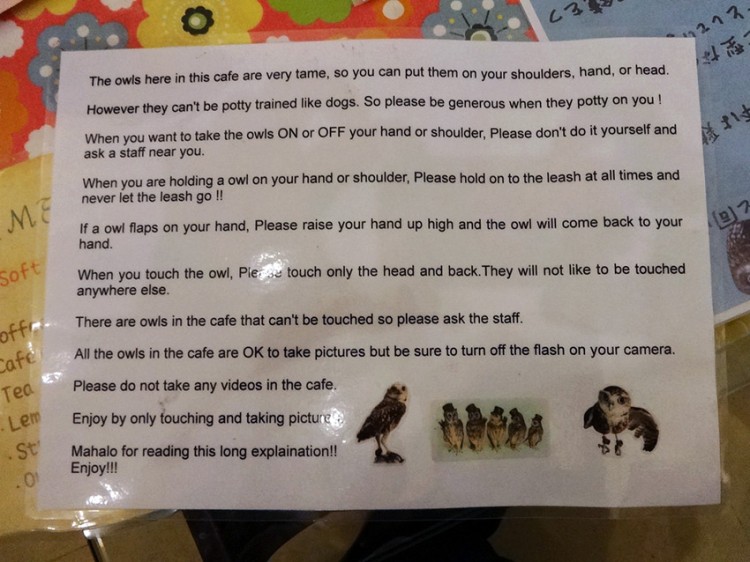fukuro no mise handout of owl handling rules for cafe