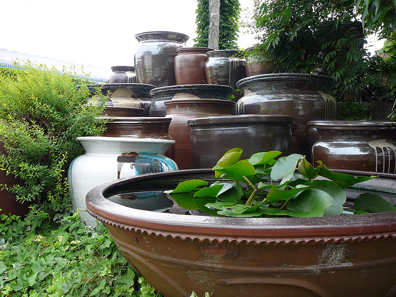 different sized pots