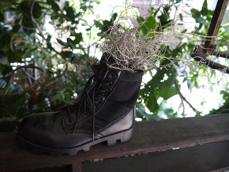 a boot with grass in it clamp coffee kyoto