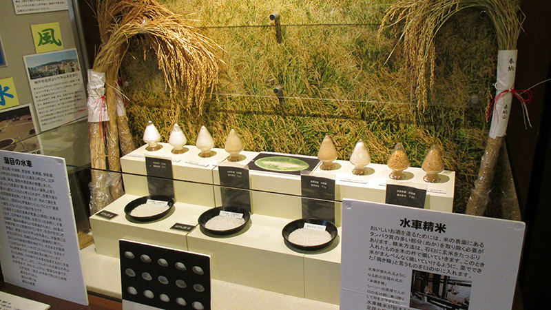 different types of sake rice
