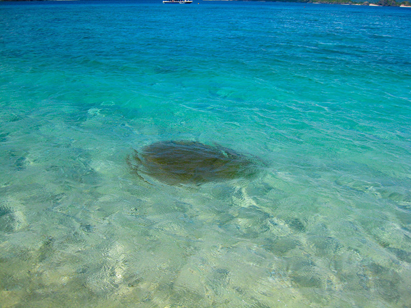 dark shape beneath crystal clear water at aka island
