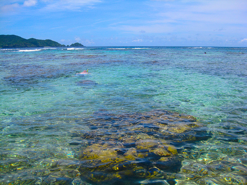 clear water at aka island with sandy ocean floor and swimmer