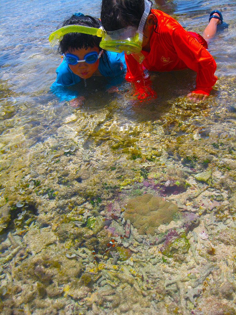 little kids in water wearing goggles looking at fish