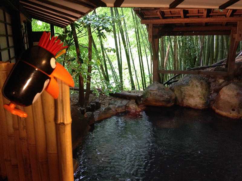 onsen pool