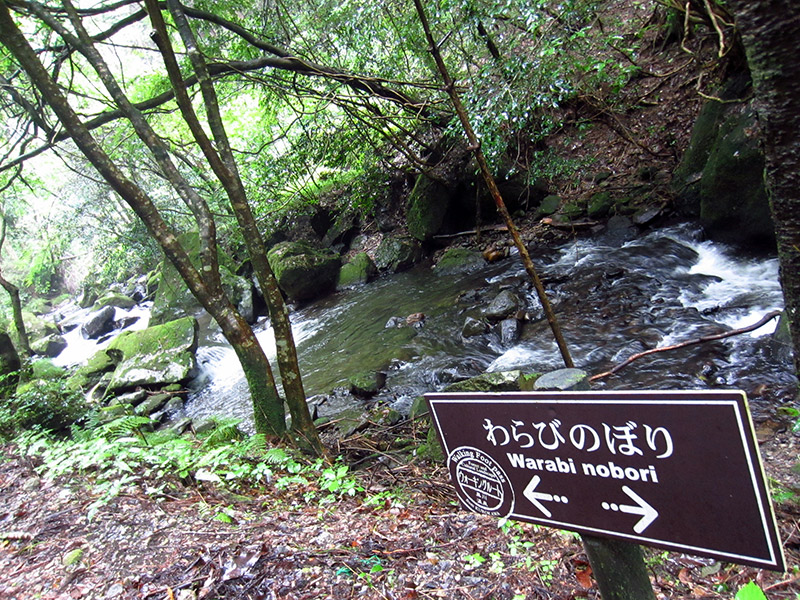 walking path and sign next to stream