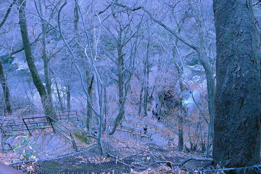 view down of stairs and forest on the way to waterfalls