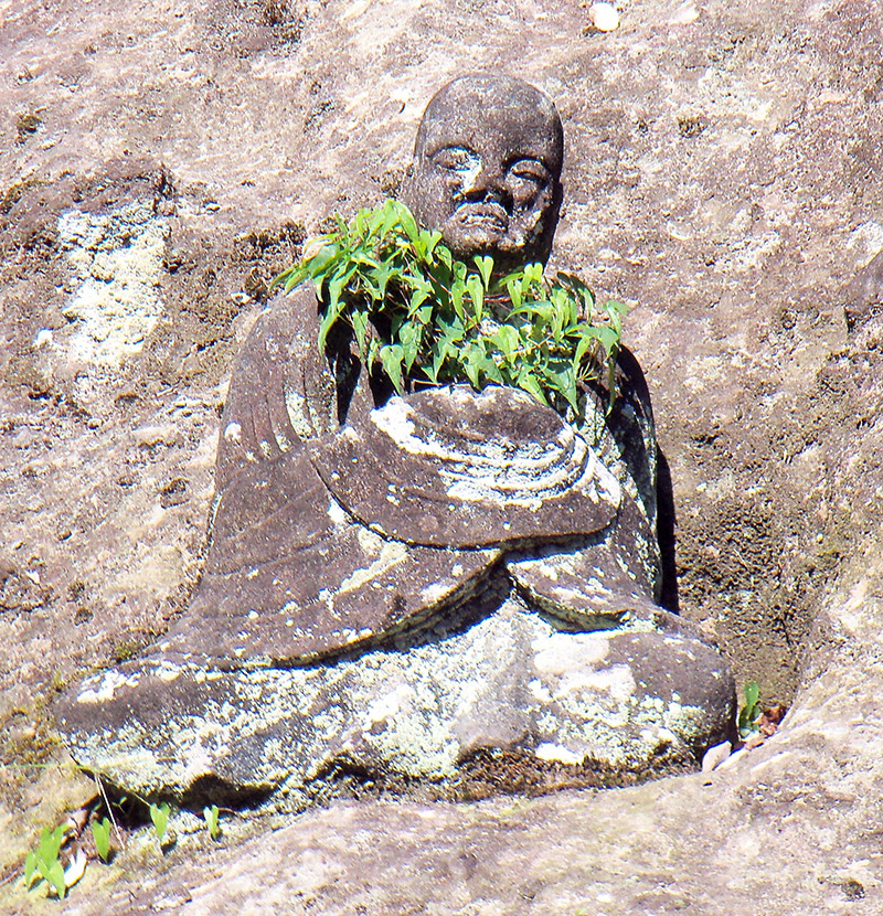 Japan overgrown Buddhist statue