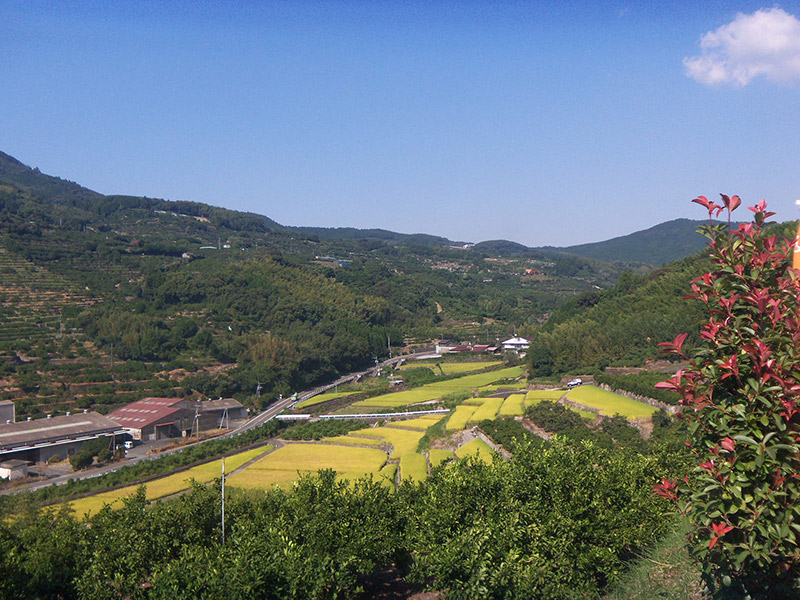 mountain overlook