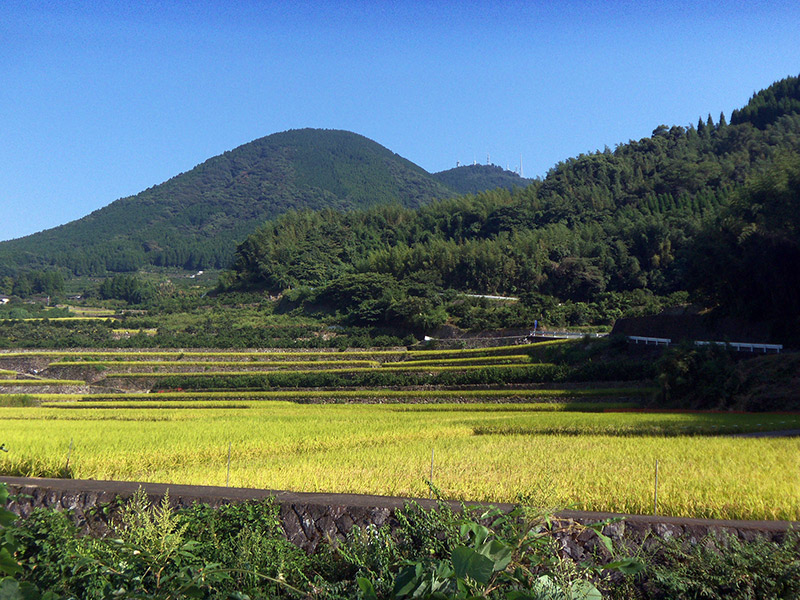 japan hills and fields