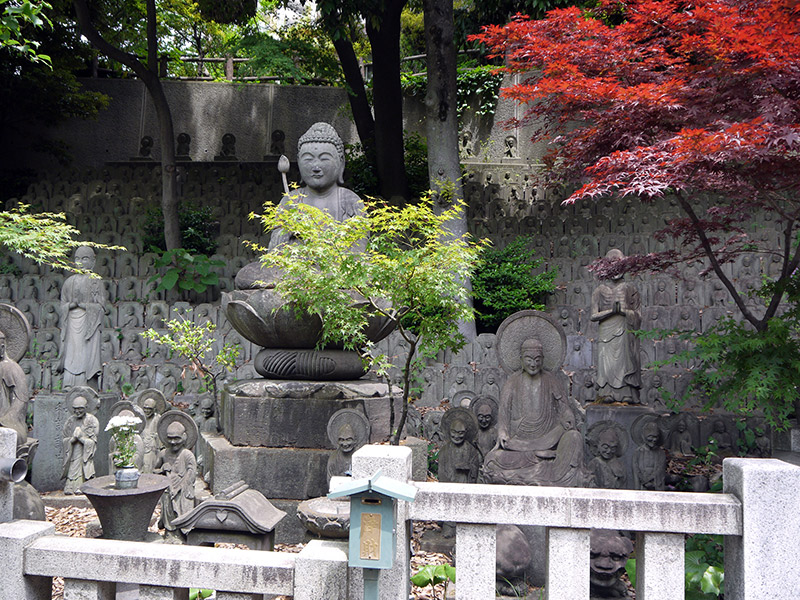 buddha statue shrine japanese maple