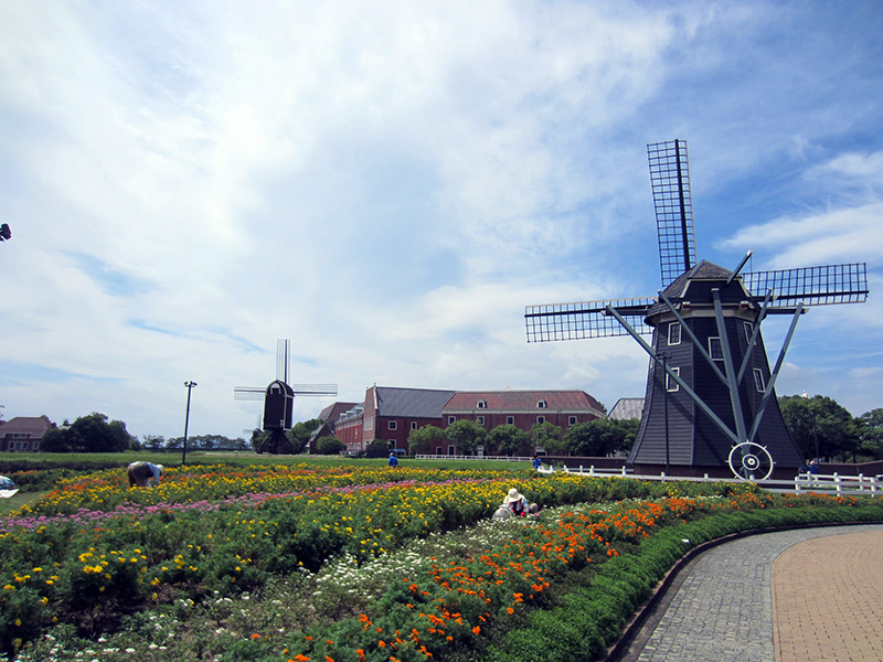 windmills and flowers blue sky clouds