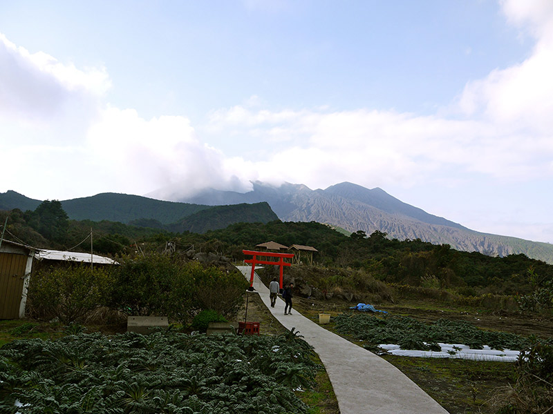 Sakurajima pathway through a tori gate