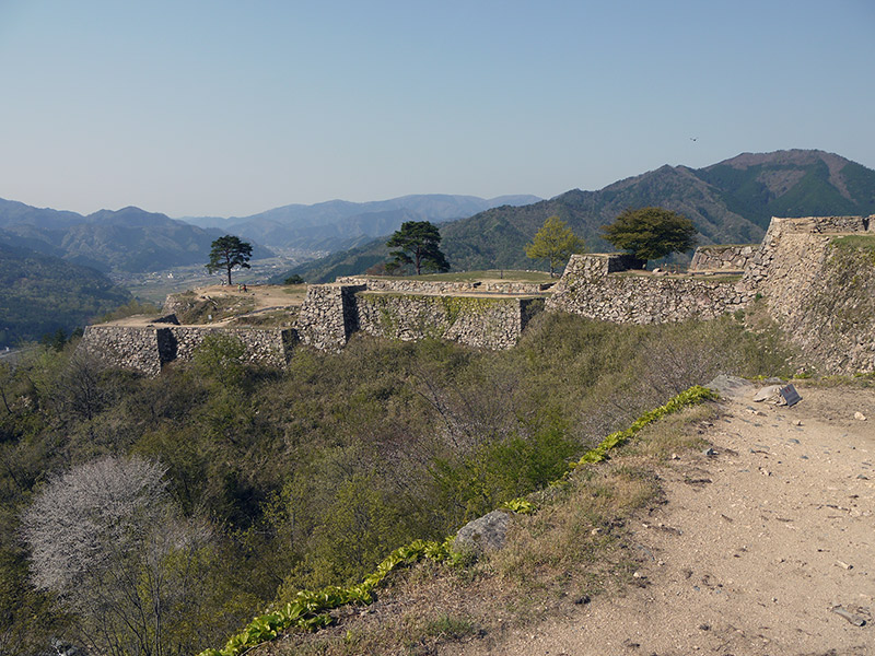 stone foundation and remnants of castle walls