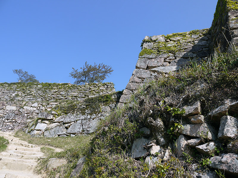 stone foundations overgrown with grass