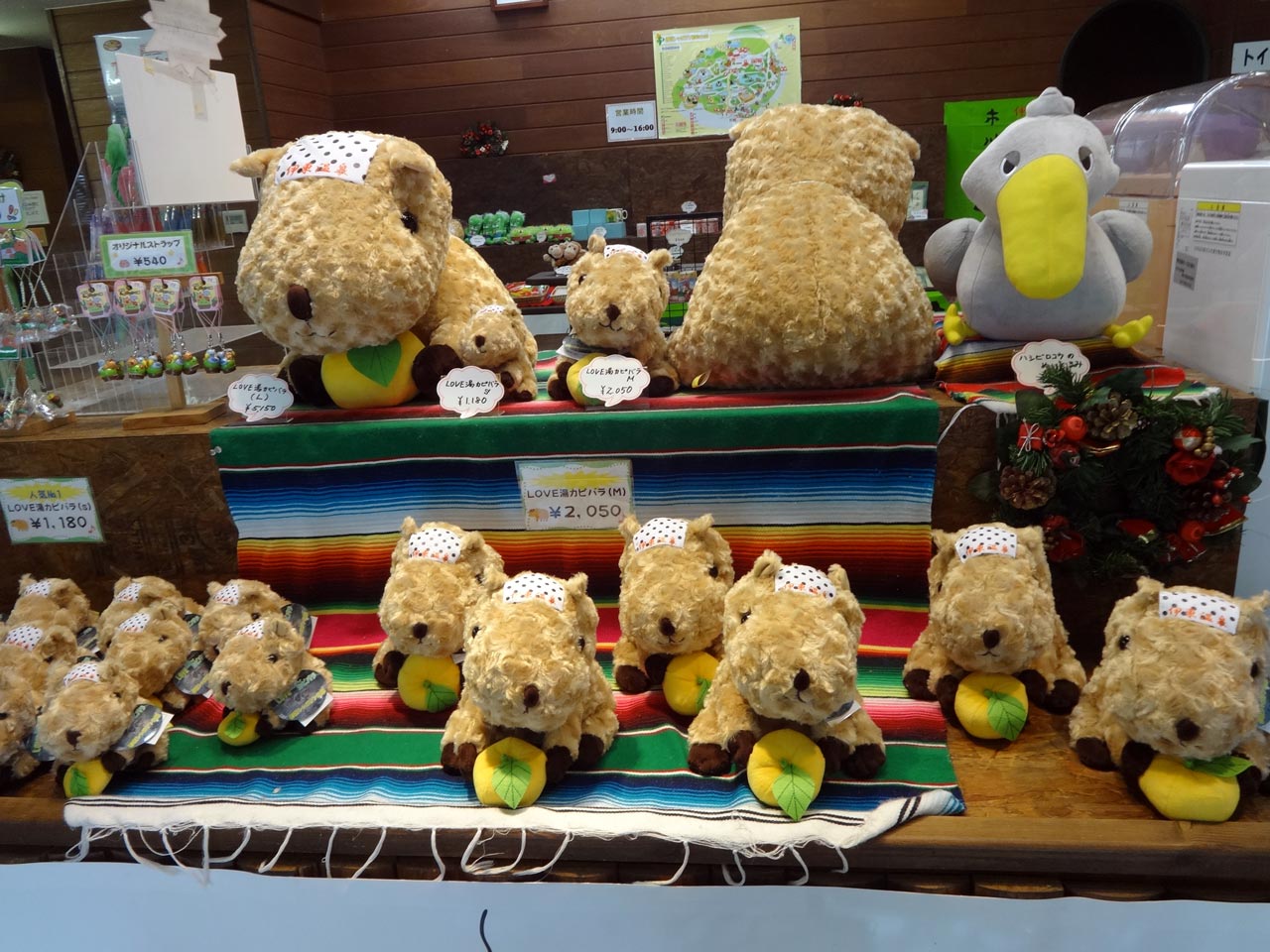 souvernir plushies of capybara