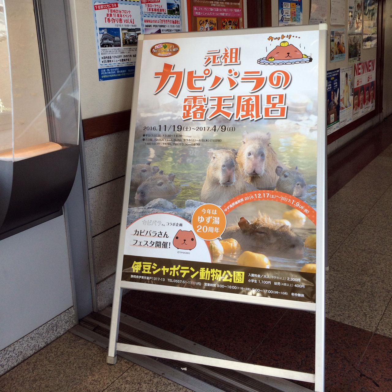 sandwich board ad for izu shaboten capybara onsen