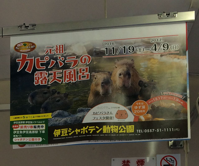 inside of japanese train with capybara advertisement