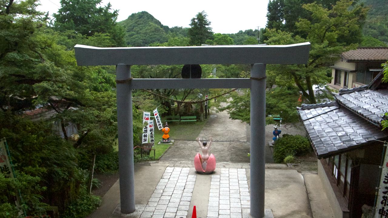 momotaro torii